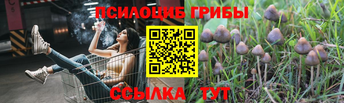 Галлюциногенные грибы мухоморы Ставрополь